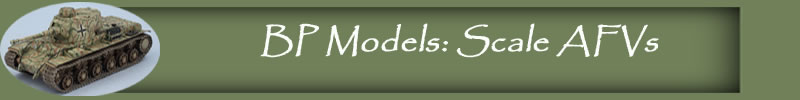 BP Models